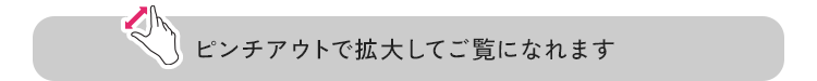 ピンチアウトで拡大してご覧になれます